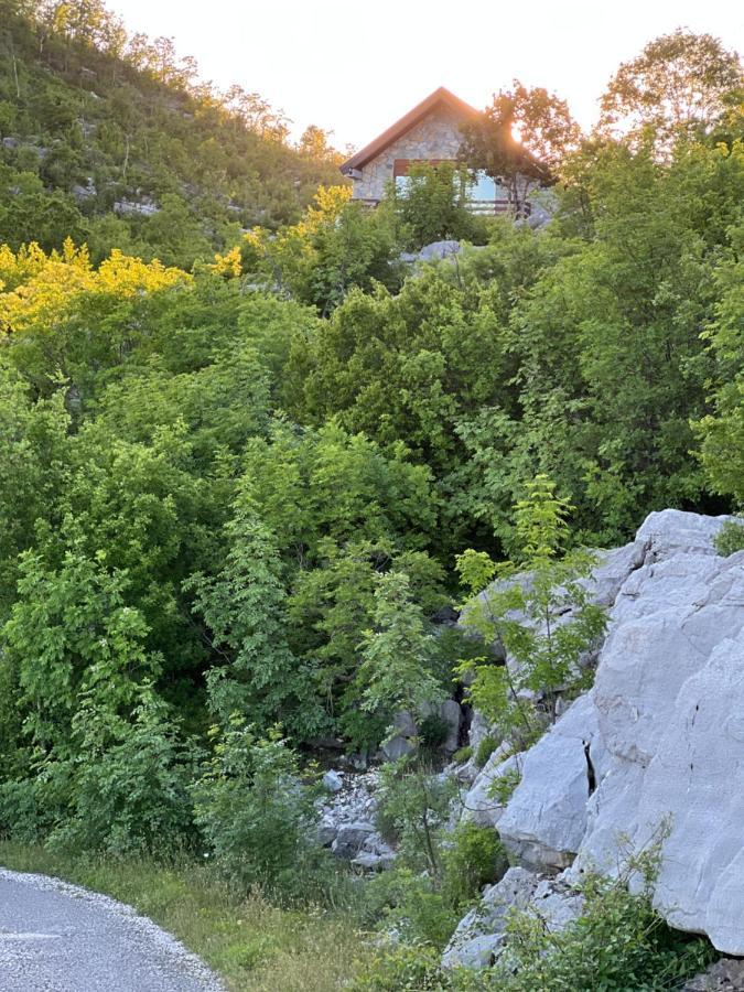 House On The Hill Vila Cetinje Exterior foto